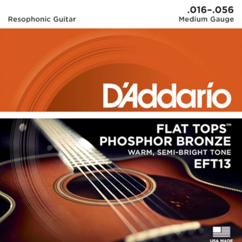 D'Addario EFT13 Flat Top Dobro/Resonator Gitaar snaren (16-56)