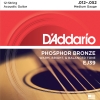 D'Addario EJ39 Phoshor Bronze Westernsnaren 12-Snarig (12-52)