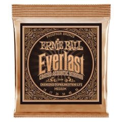Ernie Ball 2544 Everlast Coated Phosphor Bronze Akoestische Gitaarsnaren (13-56)